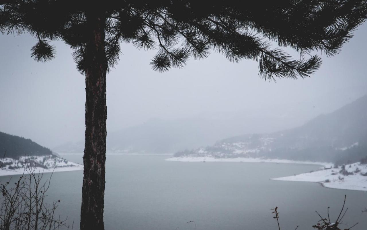 Vila Nemir Zavojsko Jezero Pirot Exteriér fotografie